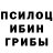 Галлюциногенные грибы Psilocybine cubensis Ggg Gogino