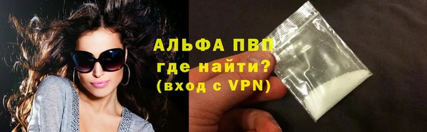 стаф Баксан