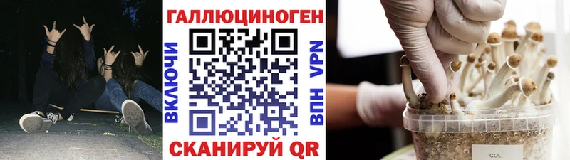 блэк спрут ссылки цена наркотик Радужный Псилоцибиновые грибы GOLDEN TEACHER